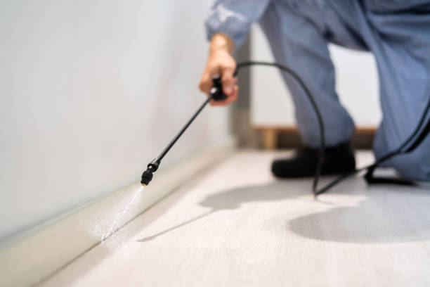 Licensed Mosquito Control service in Alamosa, CO - Show Me Pest Control