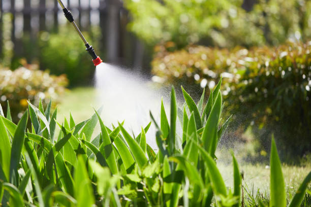 24/7 Emergency Mosquito Control experts in Alamosa, CO