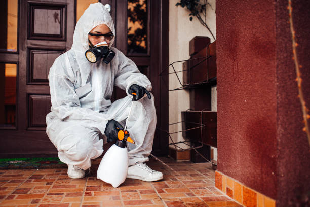 Reliable Mosquito Control contractor in Alamosa, CO by Show Me Pest Control